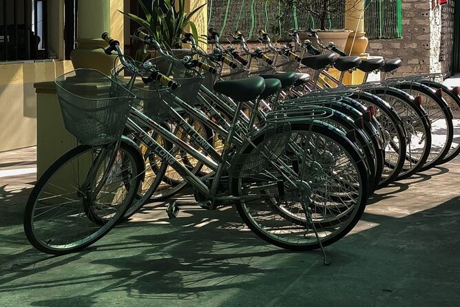 Ninh Binh Private VIP Tour - Who this VIP tour suits best (and who might prefer something else)