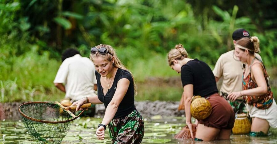 Ninh Binh: Rice planting and fishing by basket tour - Nom Fishing and Rice Planting With Real Farm Rhythm