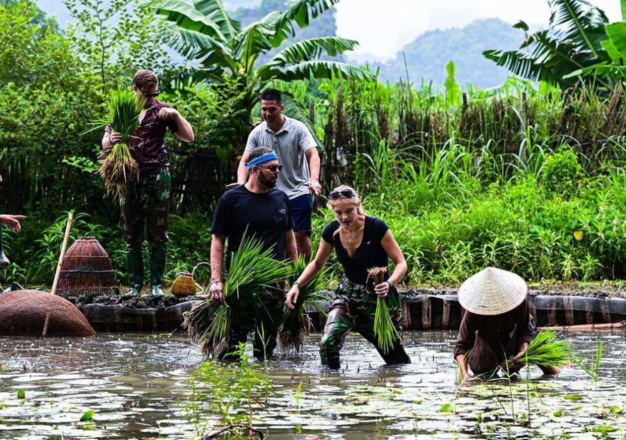 Ninh Binh: Rice planting and fishing by basket tour - Key Moments You’ll Actually Do