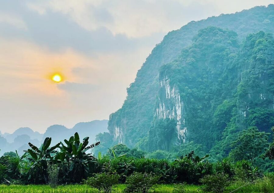 Ninh Binh: Rice planting and fishing by basket tour - Rice Planting in Traditional Clothes: Learn the Whole Cycle