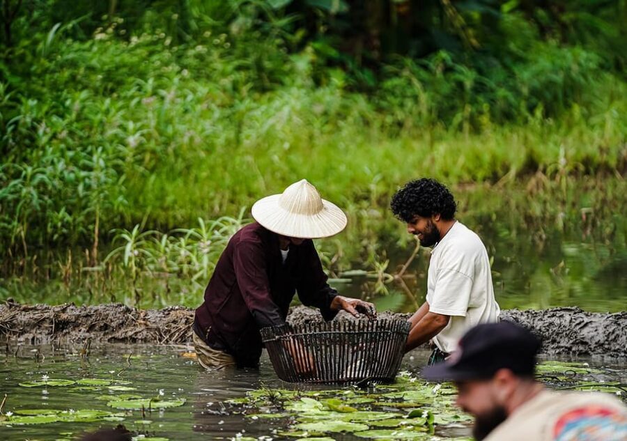 Ninh Binh: Rice planting and fishing by basket tour - Where You Meet: Buffalo Cave Near Tam Coc