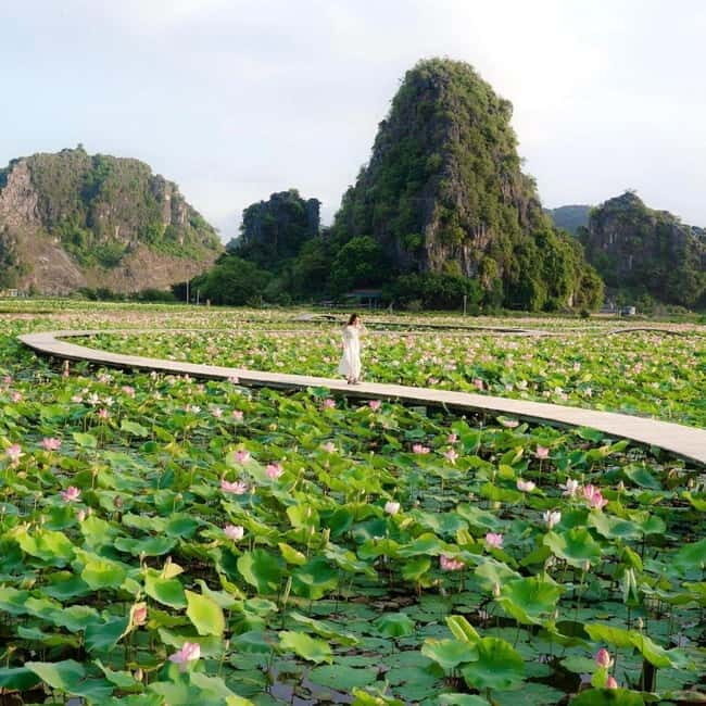 Ninh Binh Sunset Motorbike: Mua Cave, Coi Khe & Hoa Lu Town - Why This Half-Day Motorbike Plan Works for Sunset