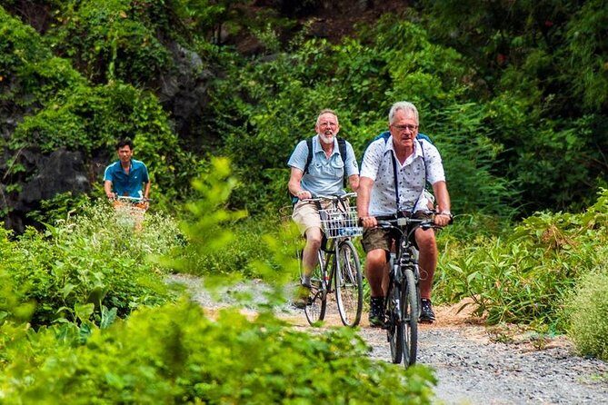 Ninh Binh Tour Hoa Lu Tam Coc Full Day: Biking,Boating,Tickets,Lunch, Limousine - Tam Coc Cave Boat Ride: Hang Ca, Hang Hai, Hang Ba