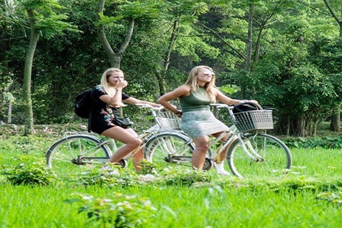 Ninh Binh Tour Hoa Lu Tam Coc Full Day: Biking,Boating,Tickets,Lunch, Limousine - What the $41 Price Really Covers (and What You’ll Pay Later)