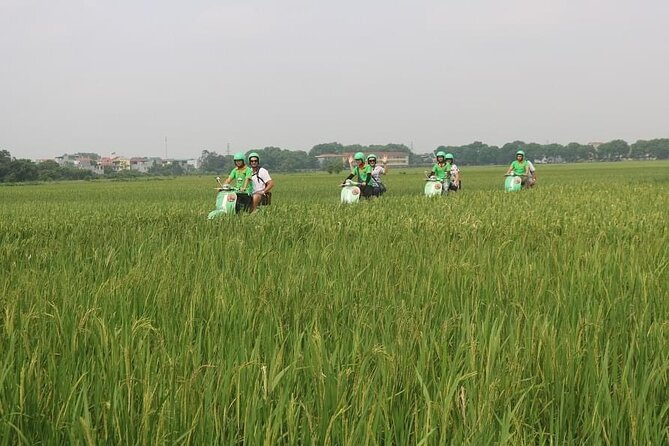 Ninh Binh Vespa Start from Hanoi + Boat + Villages +Rice Paddies - Mua Cave and the 500-Step View: Short Climb, Big Payoff