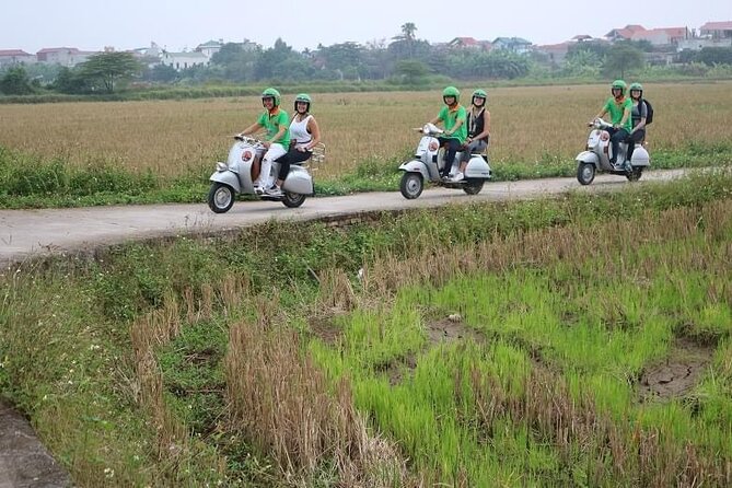 Ninh Binh Vespa Start from Hanoi + Boat + Villages +Rice Paddies - Sampan Boat Through Caves and Rice-Field Life: Slow Pace, Strong Atmosphere