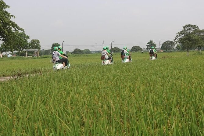 Ninh Binh Vespa Start from Hanoi + Boat + Villages +Rice Paddies - Price and Value: What You’re Really Paying For at $109