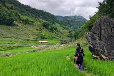 Number one top rated ethical cultural trekking and homestay by ETHOS - Day 2 freedom: choose distance and challenge, then head back to Sapa