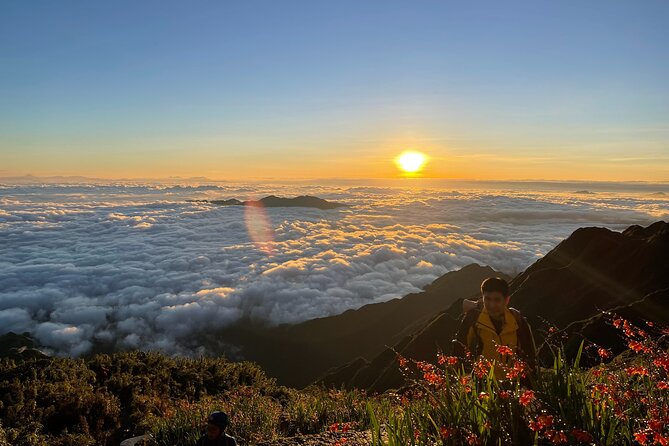 One Day Conquering Fansipan - The Roof Of Indochia - The main climb: jungle paths, bamboo forest, streams, and big views