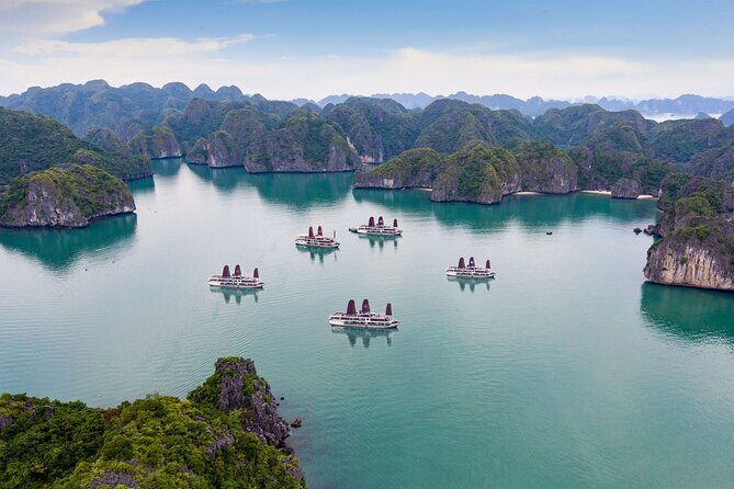 Orchid Trendy Cruises 2Days/1 Night 5 Star Cruises - Day 2 in Lan Ha Bay: Tai chi on the sundeck and an early-eye option