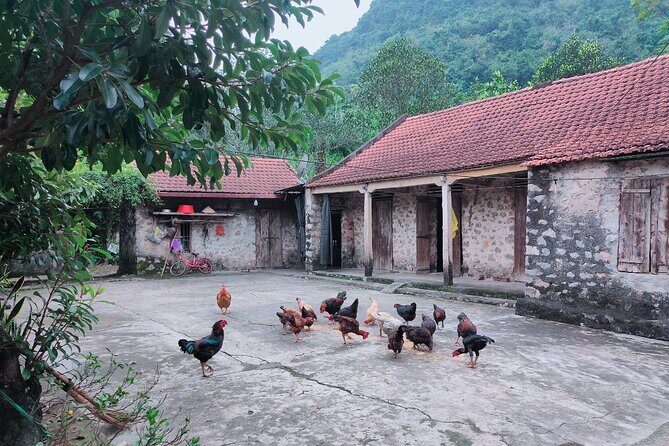 Private Boat and Biking Tour in Ninh Binh (Trang An - Hang Mua) - Lunch in Ninh Binh: Included Meal and a Yin-Yang Style Moment