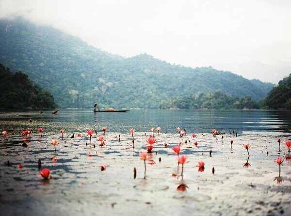 Private Car and Tour Guide Exploring Northern Vietnam - Key points before you go
