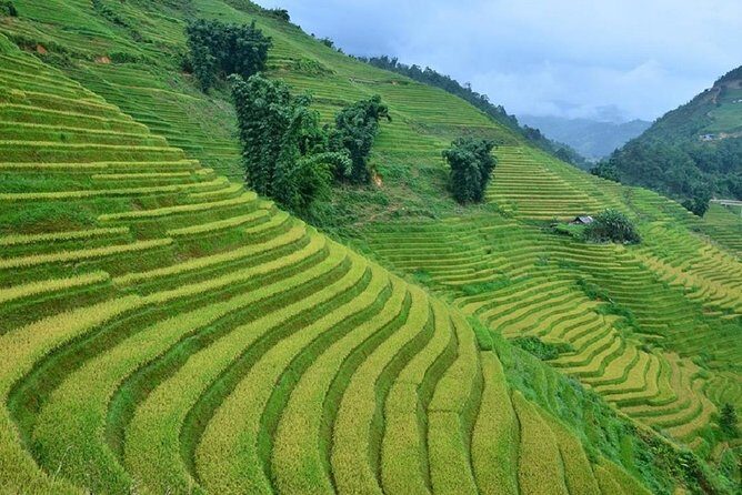 Private Car and Tour Guide Exploring Northern Vietnam - Phia Oac and bamboo forest roads: stilt houses and village time