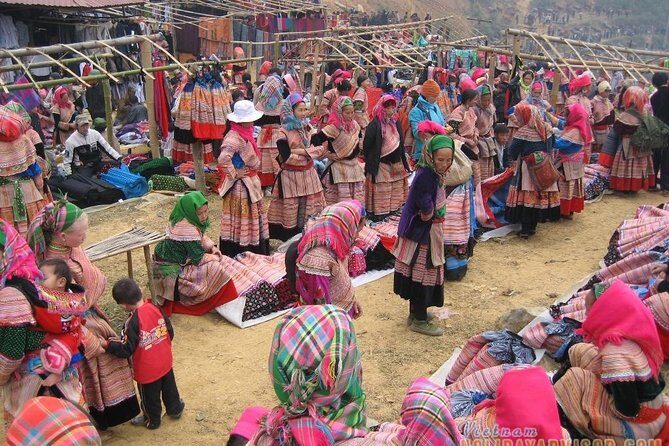 Private Car and Tour Guide Exploring Northern Vietnam - Sapa add-on legs: Cat Cat and Fanxipan view time (when it’s included)