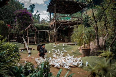 Private Car Trip to Cat Cat, Alpine Coaster and Moana Café - Cat Cat Village: H’mong Homes, Waterfalls, and Stairs You Can’t Ignore
