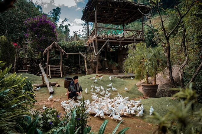 Private Car Trip to Cat Cat, Alpine Coaster and Moana Café - Cat Cat Village: H’mong Homes, Waterfalls, and Stairs You Can’t Ignore
