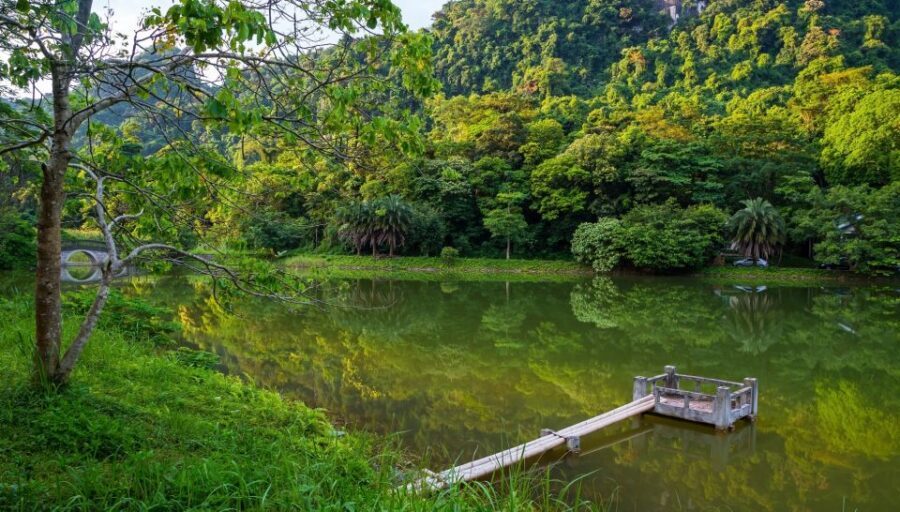 Private Day Tour: Cuc Phuong National Park from Hanoi - Lunch in the Park Area: Local Food With a Guide’s Shortcuts