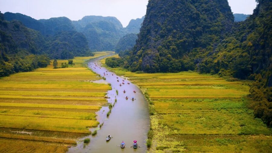 Private Full Day Tam Coc, Cuc Phuong National Park W/ Lunch - Early Man Cave and Old Trees: Finishing With Nature’s Story