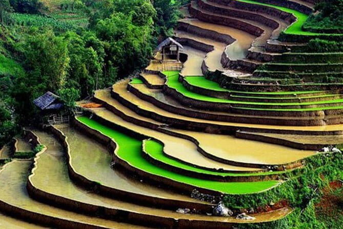 Private Full-Day Tour to Halong Bay from Hanoi - Ti Top Island: Swimming and Photos, Even When It Feels Busy