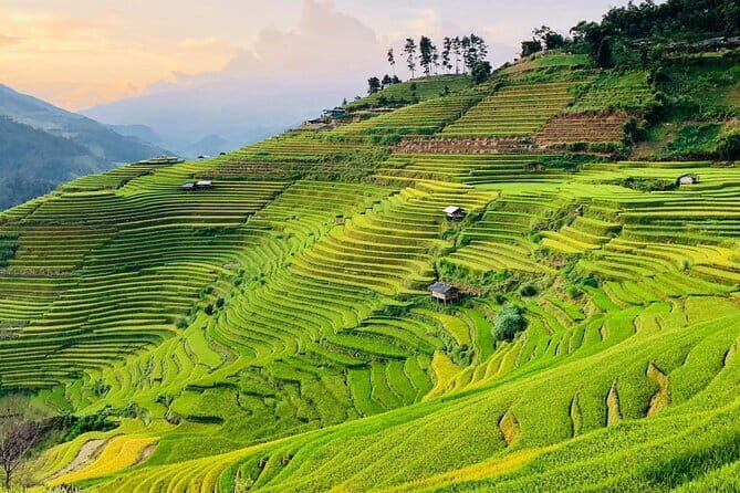 Private Half-Day Tour of Villages, Terrace Rice Fields by Car - A half-day Sapa village route, driven and guided