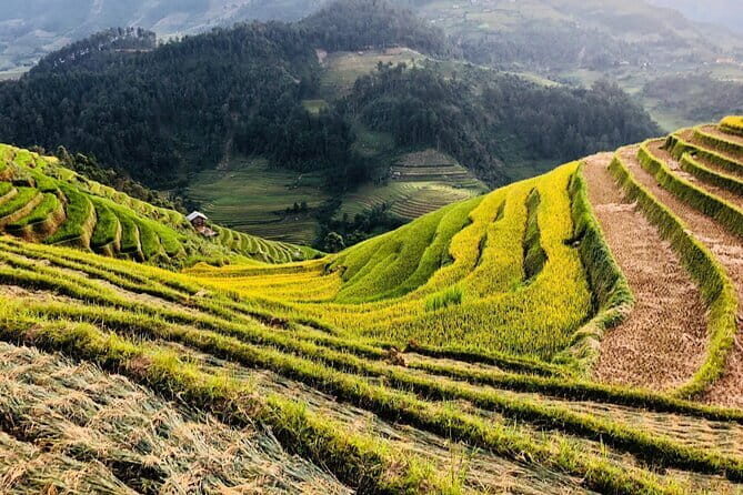 Private Half-Day Tour of Villages, Terrace Rice Fields by Car - Who should book this tour, and who might rethink it