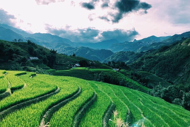Private Half-Day Tour of Villages, Terrace Rice Fields by Car - First stop: Cat Cat Village and its hillside steps