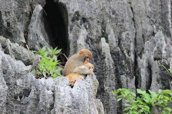 Private Halong Bay In Day - Thien Cung Heaven Palace Grotto: stairs, light, and pacing