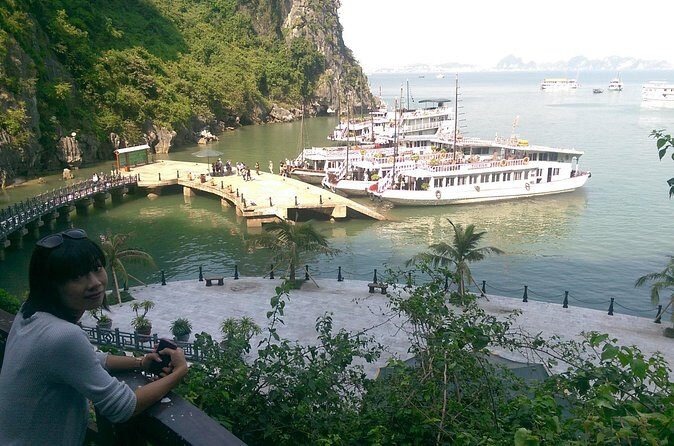 Private Halong Bay Sailing Cruise from Hanoi - Dau Go Cave on Driftwood Island: 90 steps, then the frozen-waterfall look