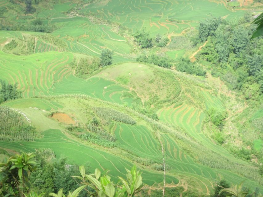 Private Hoang Lien National Park & Tribal Village Trek - Sin Chai village and the Black Hmong home visit