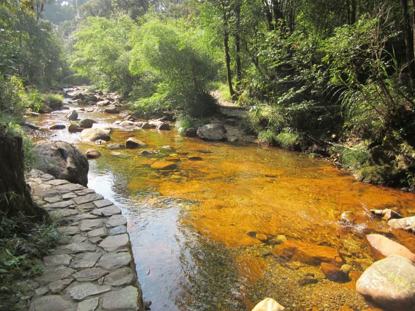 Private Hoang Lien National Park & Tribal Village Trek - Pace, weather, and comfort tips that keep the trek enjoyable
