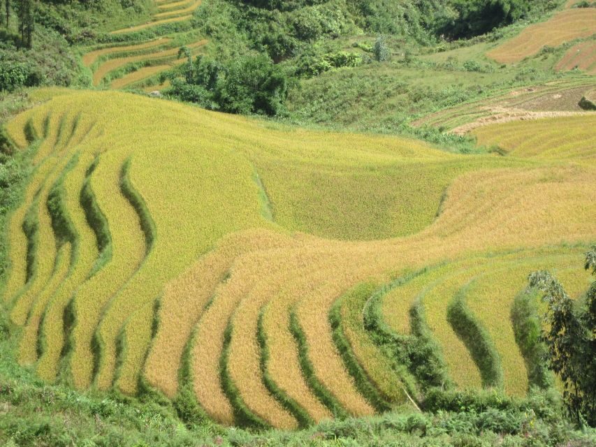 Private Hoang Lien National Park & Tribal Village Trek - Price and value: is $75 a fair deal for five hours?