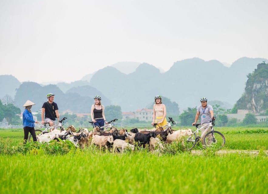 Private Luxury 1 Day Trip: Hoa Lu, Tam Coc, Mua Cave, Biking - Private luxury from Hoàn Kiếm: how the day flows