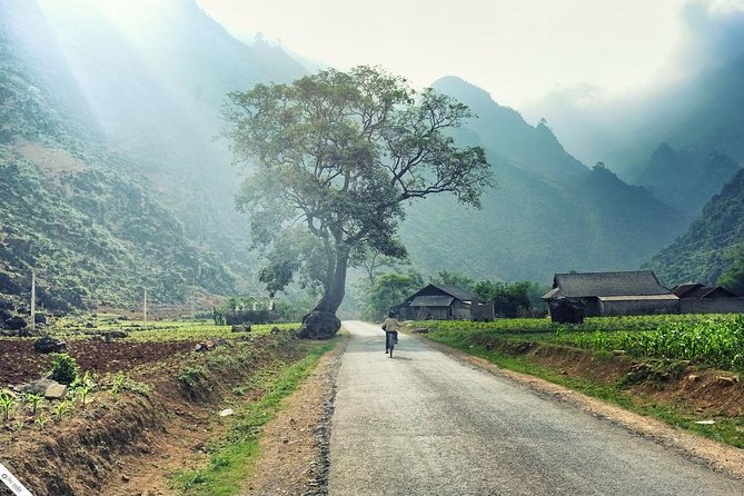 Private Transfer Between Lao Cai Train Station and Sapa Town - The pickup moment: how you avoid the 6 a.m. chaos