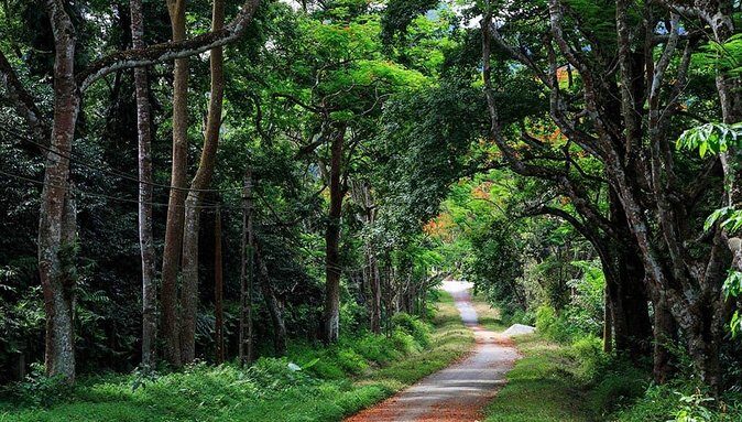 Private Transfers Full Day Hanoi - Ba Vi National Park - Hanoi - Private-only transport: what you’re really paying for