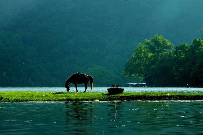 Private transfers HALONG <=> SAPA One Way (Free Hotel Pickup) - Why This Private Ride Works Between Halong Bay and Sapa