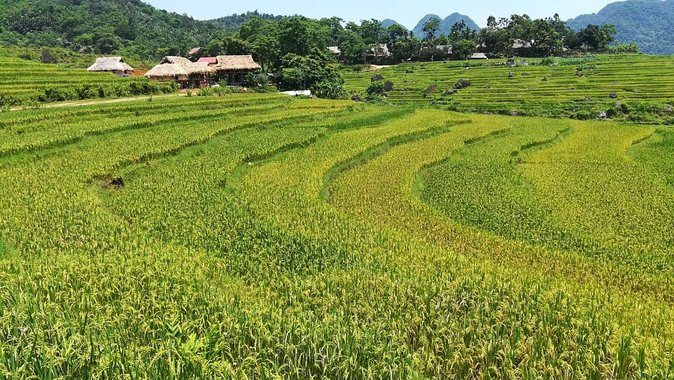 Private transfers Hanoi <=> Puluong 1 Way (Free Hotel Pickup) - Who this transfer is best for