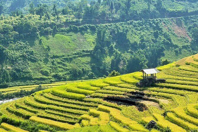 Private Trekking through Terraces Rice Fields in Sapa - Lao Chai: Black Hmong heritage and terrace ribbons in front of homes