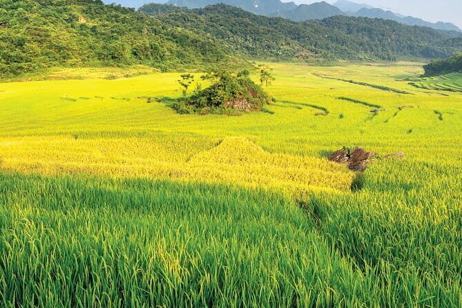 Pu Luong 3-Day Adventure: Trekking, Cycling & Local Cooking Class - Key highlights you’ll care about