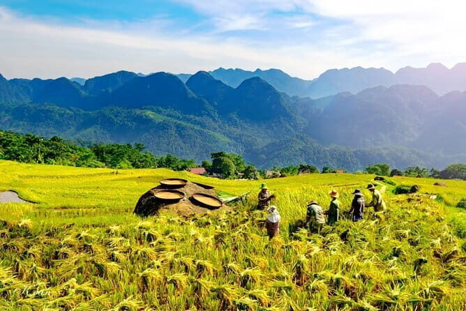 Pu Luong 3-Day Adventure: Trekking, Cycling & Local Cooking Class - Why Pu Luong feels worth the effort