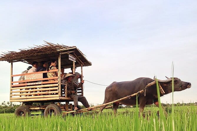 Pu Luong 3-Day Adventure: Trekking, Cycling & Local Cooking Class - Getting there from Hanoi or Ninh Binh (and what to pack)