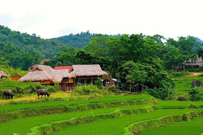 Pu Luong Nature Reserve 2 Days 1 Night Tour from Hanoi - Hanoi to Pu Luong: the drive that changes your pace