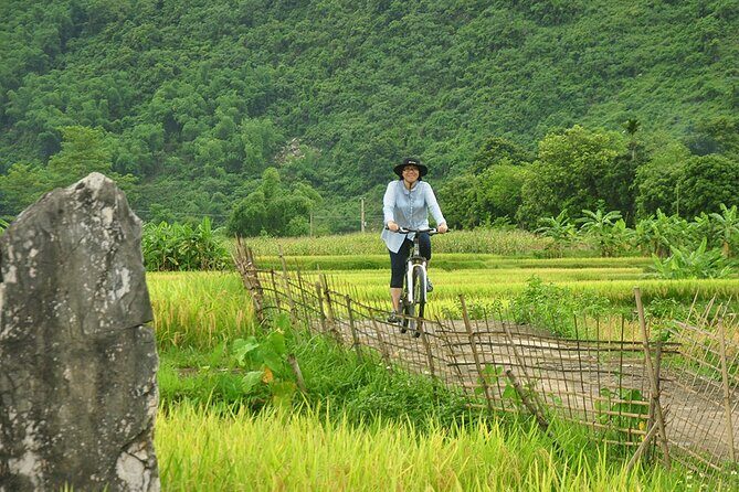 Pu Luong Private Day Tour from Hanoi – Biking & Rafting - S-curve rice terrace stop: a short detour for big photos