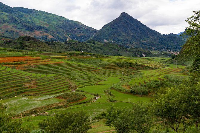 Red Dao village trek and Herbal bath - The Trek Pace: Moderate Fitness and a Day That’s Mostly Walkable