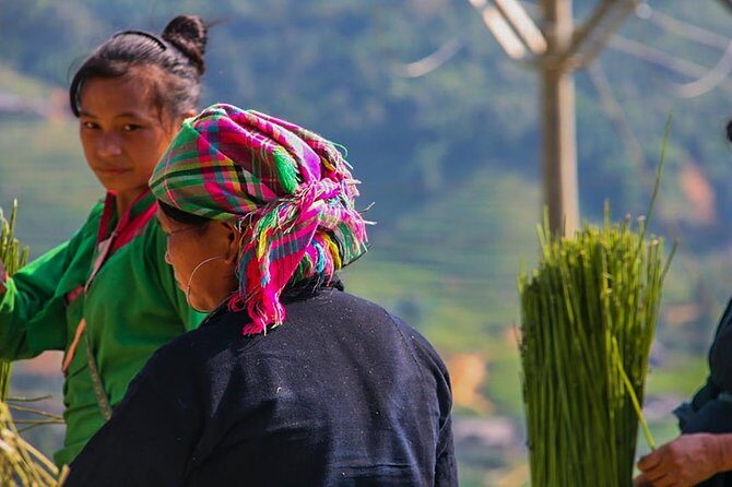 Rice Terraced Fields & Homestay Experience– 2D 1N - Day 1: Y Linh Ho Terraces, Cat Cat Road, and the Ride Down Toward Ta Van