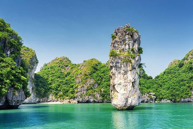 Round-Trip Hanoi to Halong Private Vehicle Charter - Choosing the right vehicle: sedan, SUV, or minivan