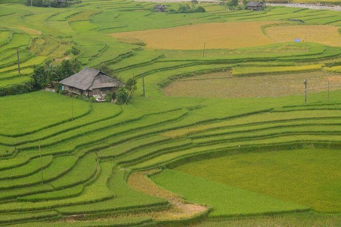 Sa Pa 2-Day Moderate Trek and Homestay Limousine Tour from Hanoi - Price and value: what $118 actually buys