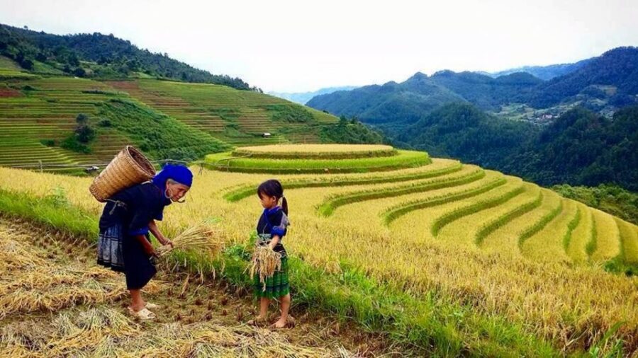 Sa Pa: 6-Hours Muong Hoa Valley Trek with Local Ethnic guide - Price, value, and the not-so-hidden costs