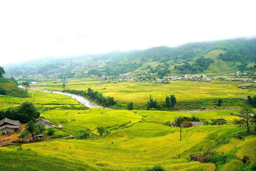 Sa Pa: Cat Cat Village Tour to Visit the Hmong People - Van ride + small-group feel: better for comfort and questions