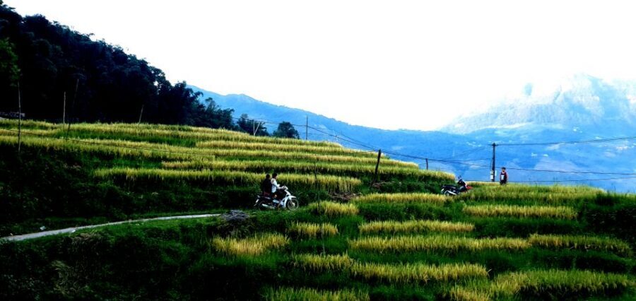Sa Pa: Guided Motorbike Tour to Ethnic Villages with Lunch - Private-group touring: why it’s worth it here