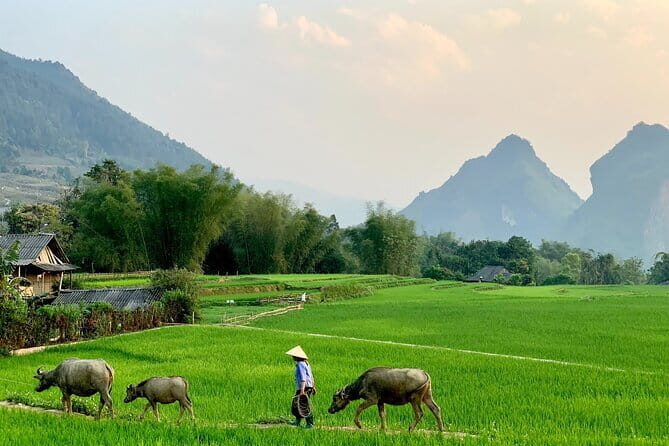 Sa Pa Trekking 2 Days 3 Nights Homestay by Night Train - Night Train to Lao Cai: Your Fast Track into Sapa’s Mountain World